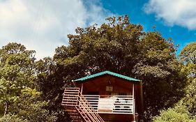 The Cocoon Camps & Nature Resorts